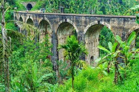 Téléchargez les photos : Pont ferroviaire sur un paysage naturel verdoyant - célèbre pont à neuf arches au Sri Lanka. - en image libre de droit