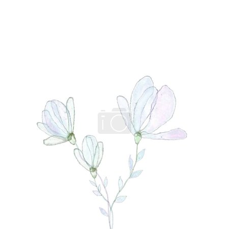 Foto de Acuarela ilustración de una hermosa flor púrpura con hojas - Imagen libre de derechos