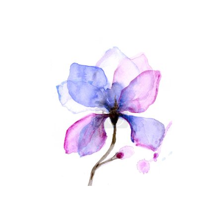 Téléchargez les photos : Illustration aquarelle d'une fleur avec un beau motif - en image libre de droit