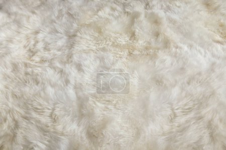 Téléchargez les photos : White Fur texture Close up - en image libre de droit