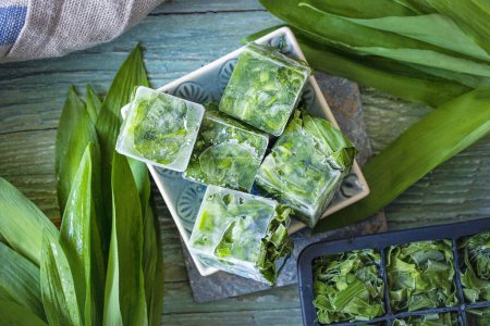 Photo for Freeze wild garlic in ice cube trays - Royalty Free Image