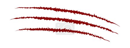Téléchargez les illustrations : Blood scratch claws mark icon. Long trail of wild animal, monster or dinosaur talons. Sharp torn edges texture isolated on white background. Laceration print. Vector illustration - en licence libre de droit