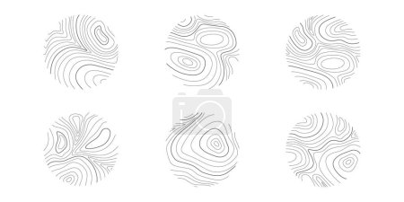 Illustration for Topographic or wooden texture in round shapes. Hand drawn relief contour. Graphic terrain surface stamps isolated on white background. Vector outline illustration. - Royalty Free Image