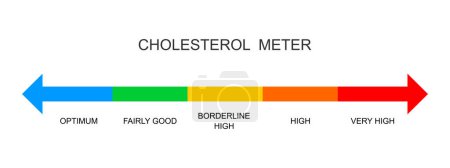 Illustration for Cholesterol meter horizontal scale. Lipoprotein levels from optimum to very high. Atherosclerosis, hyperlipidemia, hypercholesterolemia risk colorful chart. Vector flat illustration - Royalty Free Image