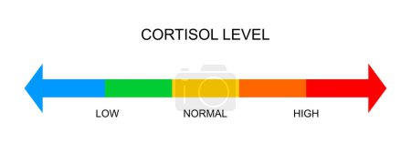 Medidor de cortisol escala horizontal. Los niveles de respuesta al estrés corporal varían de bajo a alto aislado sobre fondo blanco. Ilustración plana del vector.