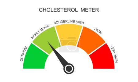 Cholesterol meter dashboard with arrow. Atherosclerosis, hyperlipidemia, hypercholesterolemia risk dial chart. Lipoprotein levels from optimum to very high. Vector flat illustration
