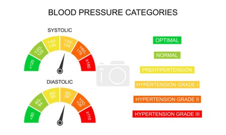 Blood pressure systolic and diastolic charts as dial dashboards with arrows. Hypertension test infographic tool isolated on white background. Vector flat illustration