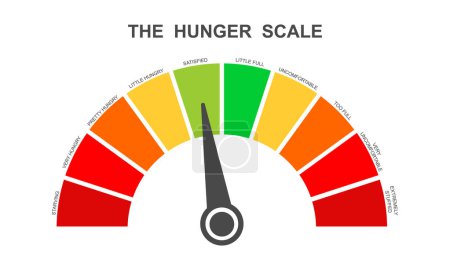 Illustration for Hunger scale as dial dashboard with arrow. Food fullness level. Ghrelin and leptin balance meter. Appetite regulation infographic for weight loss. Vector flat illustration - Royalty Free Image