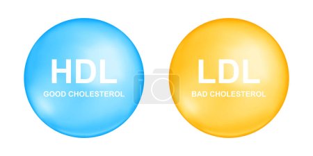 Illustration for HDL and LDL cholesterol types in blue and yellow ball shapes. Good and bad cholesterin concept. High and low density, lipoprotein icons isolated on white background. Medical infographic - Royalty Free Image