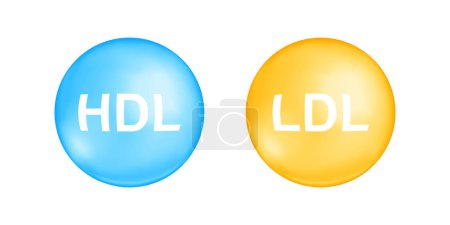 Illustration for HDL and LDL cholesterol types. Good and bad cholesterin concept. High and low density lipoprotein balls isolated on white background. Elements for medical infographic. Vector illustration - Royalty Free Image