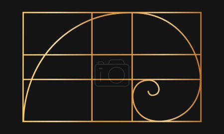 Téléchargez les illustrations : Modèle de ratio d'or. Spirale logarithmique dorée dans un cadre rectangle divisé en lignes. Grille de séquence Fibonacci. Parfaite symétrie proportions mise en page. Nature harmonie formule graphique. Illustration vectorielle. - en licence libre de droit