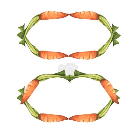 Téléchargez les photos : Set of carrot wreath. Fresh vegetables isolated on white background. Frame from carrot for market, recipe design. Cartoon style. Watercolor illustration for any design. - en image libre de droit