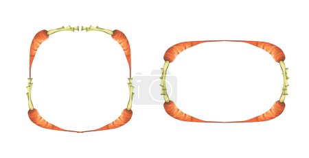 Téléchargez les photos : Set of carrot wreath. Fresh vegetables isolated on white background. Frame from carrot for market, recipe design. Cartoon style. Watercolor illustration for any design. - en image libre de droit