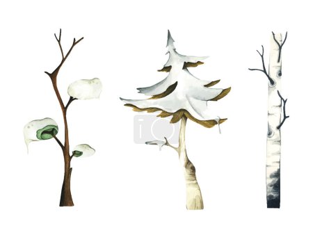 Téléchargez les photos : Illustration aquarelle de l'arbre enneigé d'hiver. - en image libre de droit