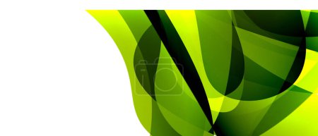 Téléchargez les illustrations : Photo rapprochée d'une feuille verte et jaune d'une plante terrestre sur fond blanc. La feuille est vibrante et détaillée, présentant différentes teintes et nuances - en licence libre de droit