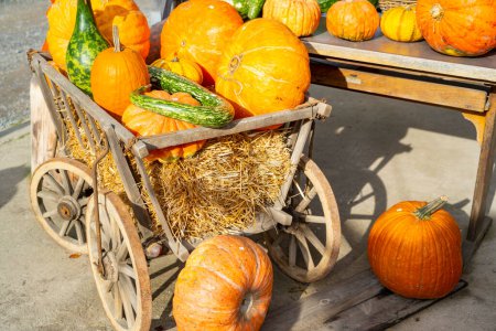 Foto de Aumentar las ventas de otoño con la comercialización de calabaza - Imagen libre de derechos