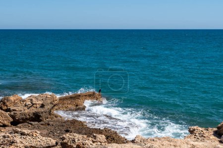 Foto de Rocas en el mar de España con un fuerte viento. Las olas blancas chocan contra la orilla. soleado día de primavera - Imagen libre de derechos