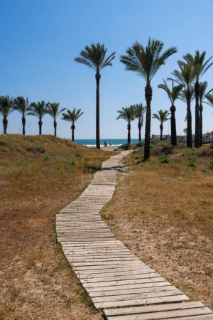 Foto de Un camino de madera conduce al mar entre las palmeras en las dunas del mar Mediterráneo. Día soleado brillante en España - Imagen libre de derechos