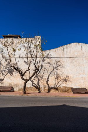 Foto de Siesta en una ciudad vacía en primavera. Sombras de árboles en la pared cerca de los bancos y la calle. - Imagen libre de derechos