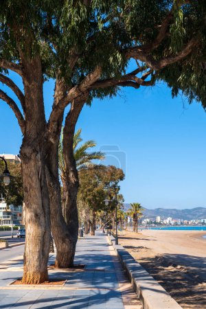 Foto de El paseo marítimo del mar Mediterráneo en un día soleado en primavera. Palmeras y bancos entre elegantes casas en la provincia de Castellón - Imagen libre de derechos