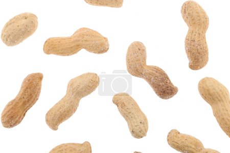Photo for Peanuts  isolated on white background - Royalty Free Image