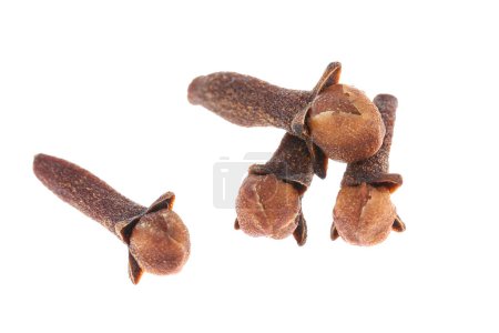 Photo for Cloves spice. Some dried cloves isolated on white - Royalty Free Image