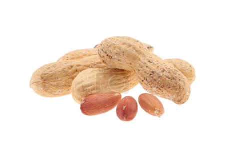 Téléchargez les photos : Cacahuètes isolées sur fond blanc - en image libre de droit