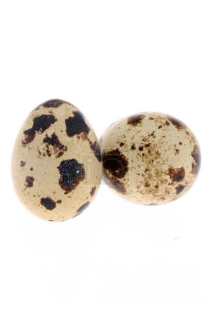Foto de Los huevos de codorniz están aislados sobre un fondo blanco - Imagen libre de derechos