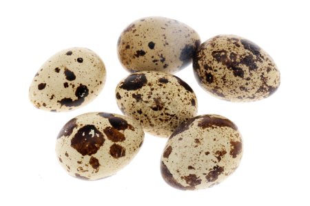 Foto de Los huevos de codorniz están aislados sobre un fondo blanco - Imagen libre de derechos