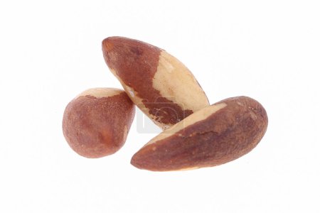 Photo for Brazil nuts isolated on white background. - Royalty Free Image
