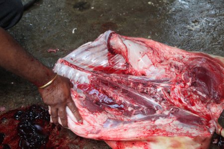 Téléchargez les photos : Boucher coupant de la viande crue avec un couteau à table à l'abattoir - en image libre de droit