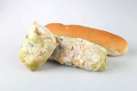 Foto de El moho en el pan. Alimentos en mal estado que son perjudiciales para el consumo - Imagen libre de derechos