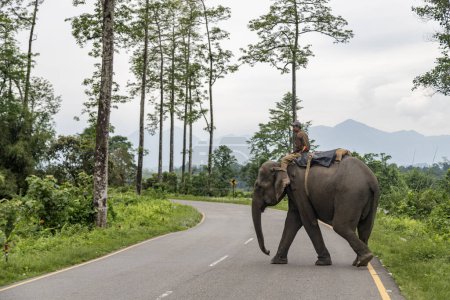 Foto de Balipara, assam, India 29 abril 2022.Range oficial forestal monta elefante bhalukpung road en el parque nacional nameri en assam en las montañas del Himalaya oriental. - Imagen libre de derechos