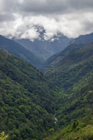 Photo for High mountains slopes covered in thick virgin forest and shrouded in cloud near the small village of senge near tawang in western arunachal pradesh, India. - Royalty Free Image