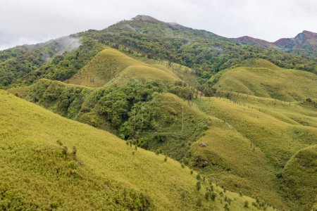 Téléchargez les photos : La vallée de Dzukou est située à la frontière des États indiens du Nagaland et du Manipur.Cette vallée est bien connue pour son environnement naturel, ses fleurs, sa flore et sa faune saisonnières.. - en image libre de droit