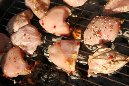 Téléchargez les photos : Viande sur un gril à l'extérieur en été - en image libre de droit