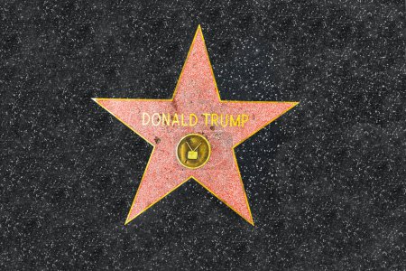 Photo for Los Angeles, USA - March 5, 2019:  Close up of President Donald Trump's recently repaired star on the Hollywood Walk of Fame on Hollywood Boulevard, which has been vandalized several times.. - Royalty Free Image