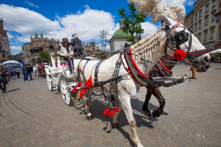 Téléchargez les photos : Cracovie, Pologne - 4 mai 2014 : Chariot tiré par des chevaux sur la place du marché, standardisé la couleur, longueur totale ne dépassant pas 7,0 m, peut être attelé à un maximum de deux chevaux à Cracovie, Pologne. - en image libre de droit
