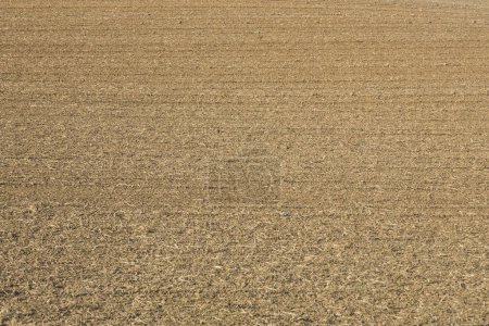 Photo for Plowed field in beautiful light as agricultural background - Royalty Free Image