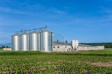 silos in beautiful landscape with green fields in spring time