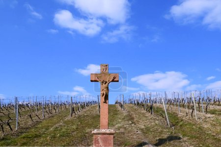 Téléchargez les photos : Vignoble dans la région de Rheingau avec vieux crucifix de grès avec Jésus sous le ciel bleu - en image libre de droit