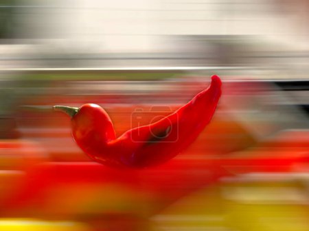 Photo for Sweet pepper in red looking like a bird - Royalty Free Image