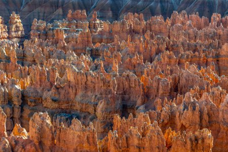 Photo for Scenic view to the hoodoos in the Bryce Canyon national Park, Utah, USA - Royalty Free Image