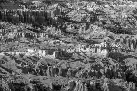 Foto de Vista panorámica de los hoodoos en el Parque Nacional Bryce Canyon, Utah, EE.UU. - Imagen libre de derechos