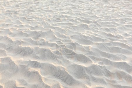 Foto de Patrón de ondas en la duna en detalle - Imagen libre de derechos