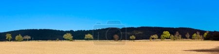 Photo for Scenic Taunus landscape with forest, fields and alleys in beautiful afternoon light - Royalty Free Image