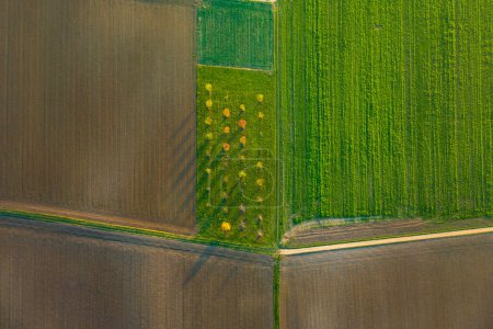 Téléchargez les photos : Aérienne du paysage rural avec motif harmonique des champs au coucher du soleil - en image libre de droit