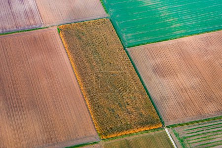 Photo for Aerial of field in harmonic structure - Royalty Free Image