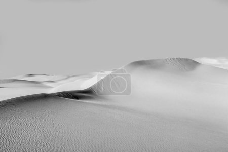 Photo for Beautiful sand dune in sunrise in the sonoran desert - Royalty Free Image