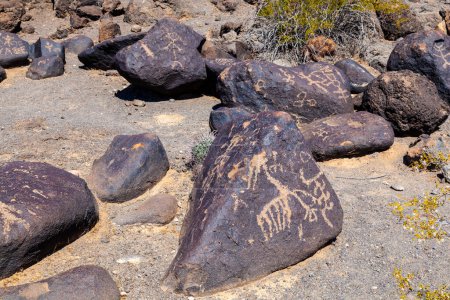 Téléchargez les photos : Site de Petroglyph, près de Gila Bend, Arizona, USA - en image libre de droit